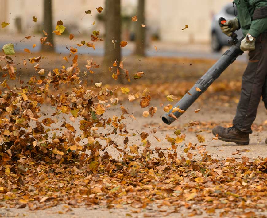 Clean-ups